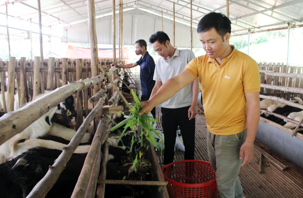 Bac Giang expands safe food supply chains